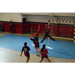Buenos triunfos logró el Handball‏